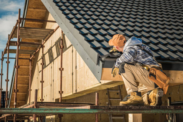 Best Solar Panel Roofing Installation  in Maplewood, MO