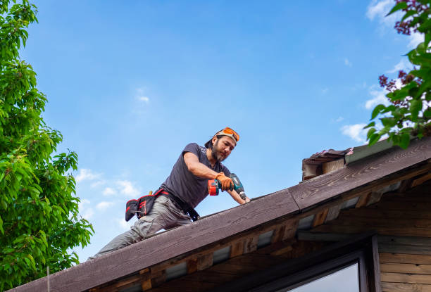 Best Roof Coating and Sealing  in Maplewood, MO